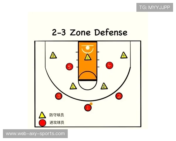 南京篮球队区域防守战术解析与深度剖析